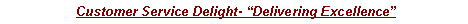Text Box: Customer Service Delight- �Delivering Excellence� 